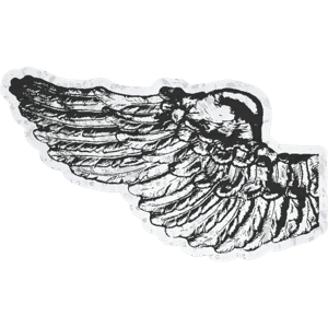 wing drawing