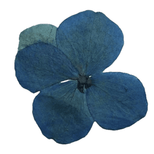 blue pack - flower 3