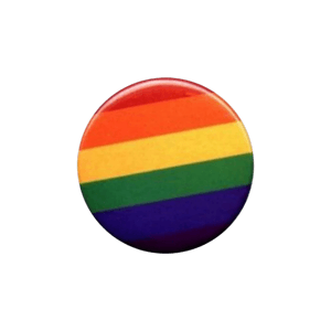 rainbow pin