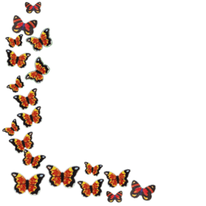 butterflies