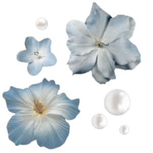 blue flowers