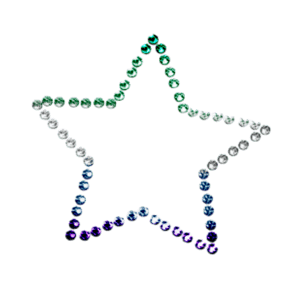 gay star 1
