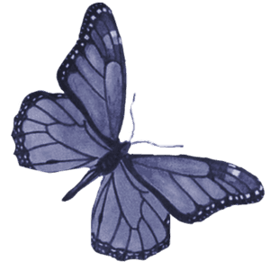 purple butterfly