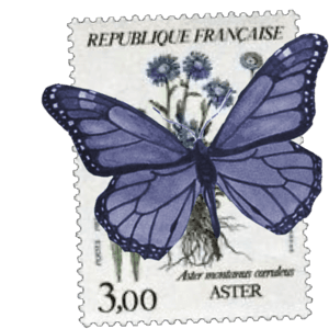 stamp with butterfly on it 