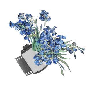blue pack - camera roll with flowers