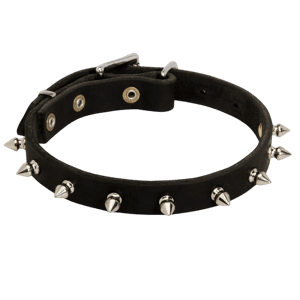 Spike Collar