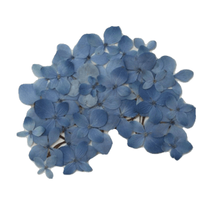 blue pack - flowers