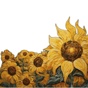 sunflower border