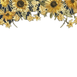 sunflower border 2