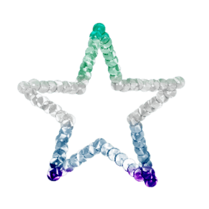 gay star 2