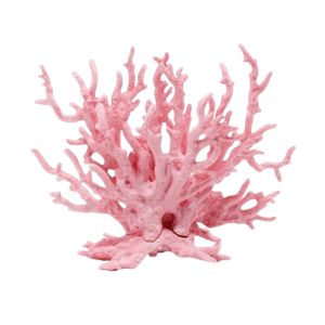 coral