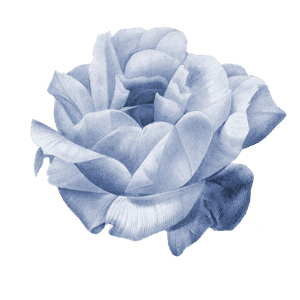 blue pack - flower