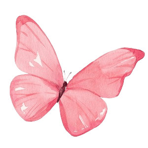 dark pink butterfly