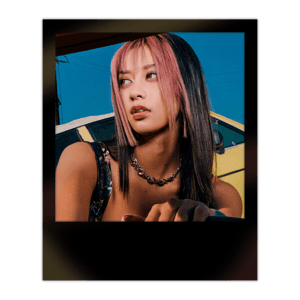 Megan Polaroid
